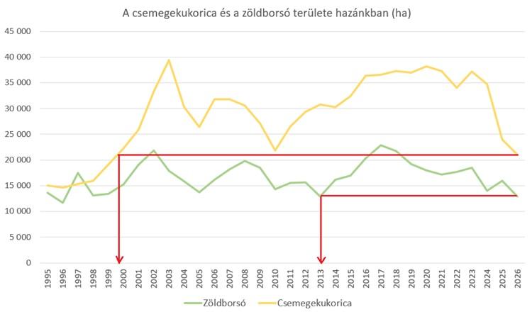 Vége a magyar csemegekukoricának? 26 éves mélyponton az ágazat